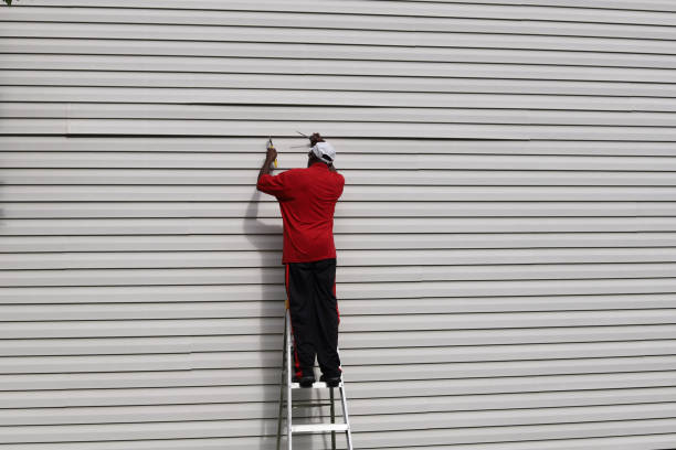 Best Aluminum Siding Installation  in Manassas, VA